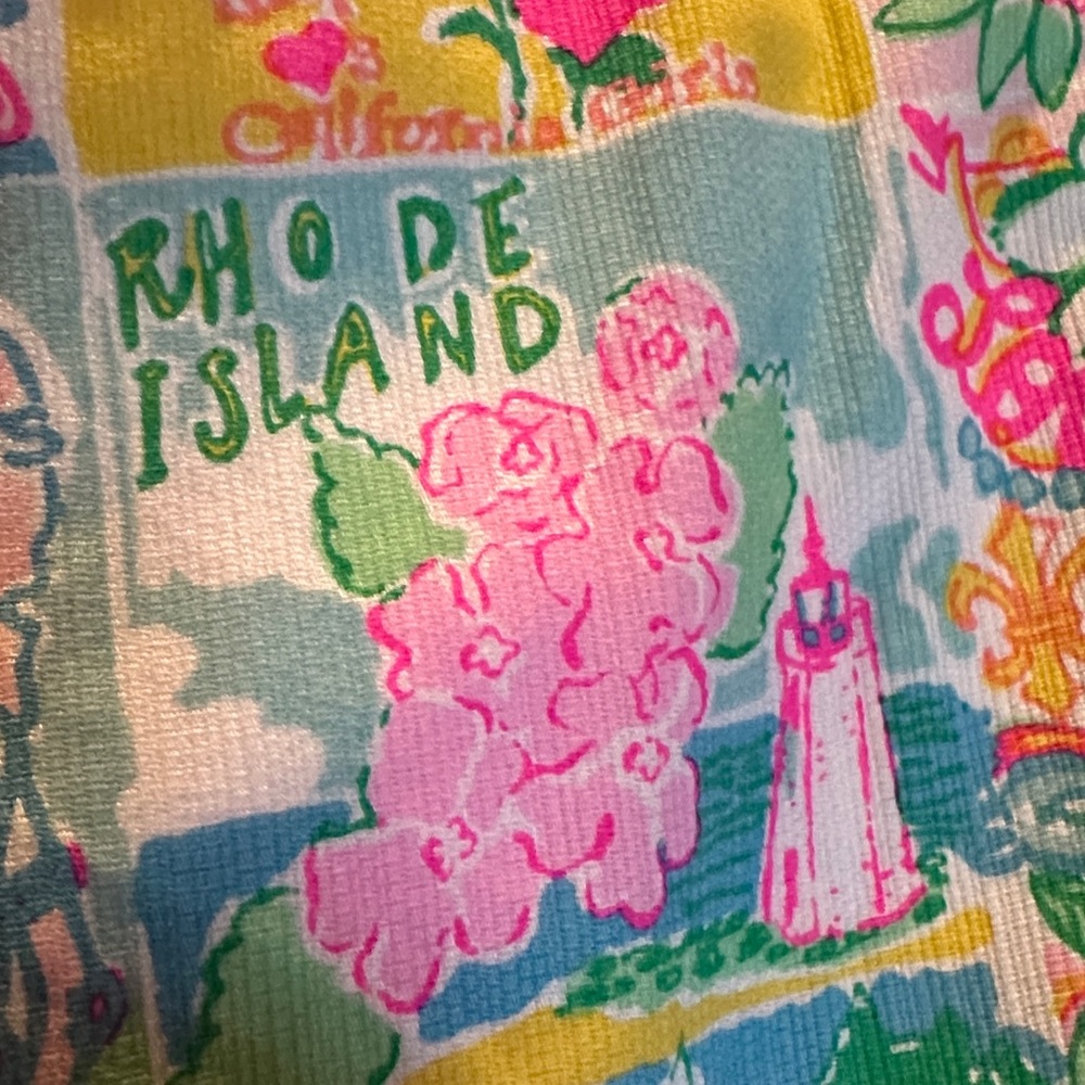 Lilly Pulitzer state of mind Skirt - Picture 6 of 12